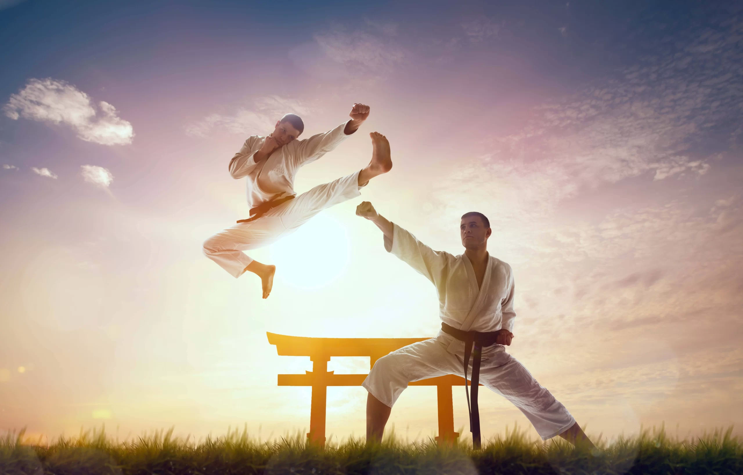 Karate: The Hidden Language of Kicks and Katas 